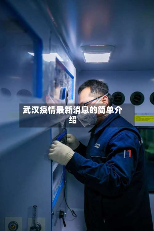 武汉疫情最新消息的简单介绍-第3张图片