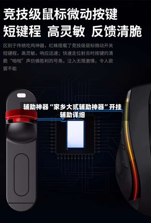 辅助神器“家乡大贰辅助神器”开挂辅助详细-第1张图片