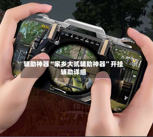 辅助神器“家乡大贰辅助神器	”开挂辅助详细-第2张图片