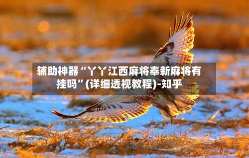 辅助神器“丫丫江西麻将奉新麻将有挂吗”(详细透视教程)-知乎-第1张图片