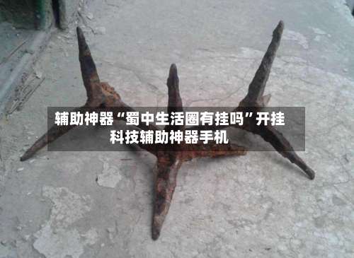 辅助神器“蜀中生活圈有挂吗”开挂科技辅助神器手机-第2张图片