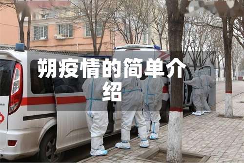 朔疫情的简单介绍-第1张图片