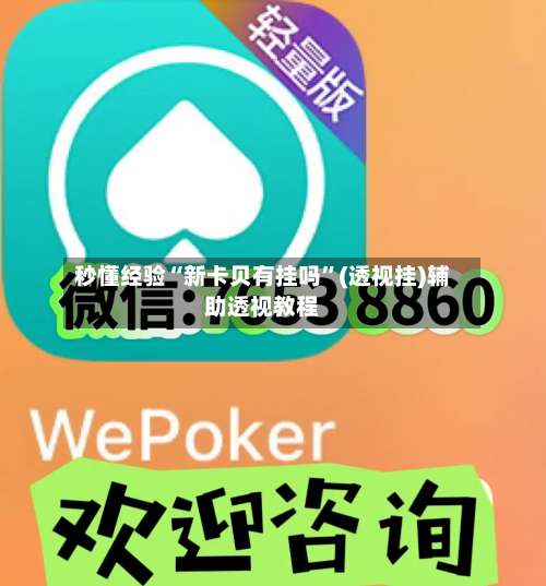 秒懂经验“新卡贝有挂吗	”(透视挂)辅助透视教程-第2张图片