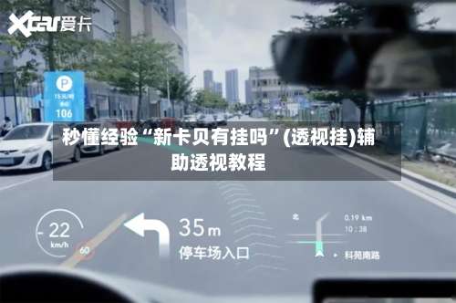 秒懂经验“新卡贝有挂吗”(透视挂)辅助透视教程-第1张图片