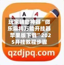 玩家辅助神器“微乐麻将万能开挂器苹果版下载”2025开挂教程步骤-第2张图片