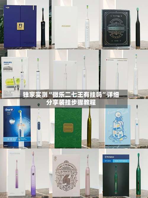 独家实测“微乐二七王有挂吗”详细分享装挂步骤教程-第1张图片