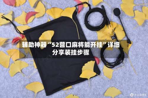 辅助神器“52营口麻将能开挂”详细分享装挂步骤-第2张图片