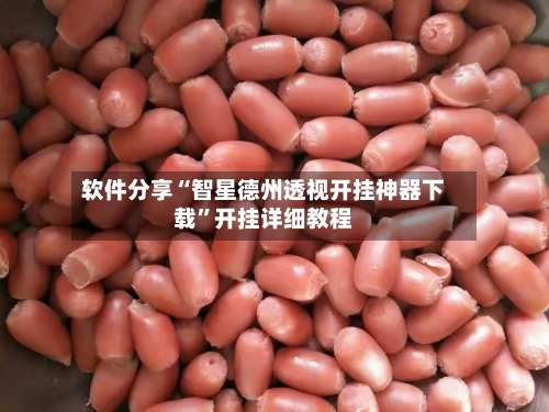 软件分享“智星德州透视开挂神器下载”开挂详细教程-第3张图片