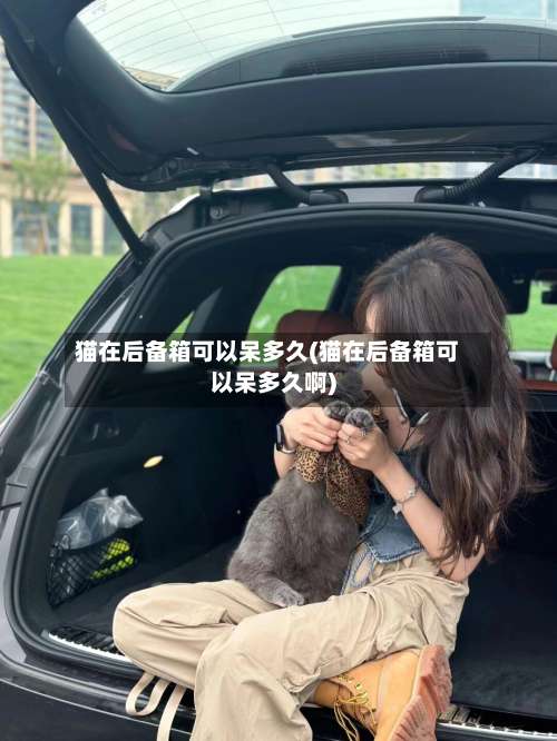 猫在后备箱可以呆多久(猫在后备箱可以呆多久啊)-第2张图片