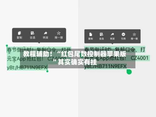 教程辅助！“红包尾数控制器苹果版	”其实确实有挂-第2张图片
