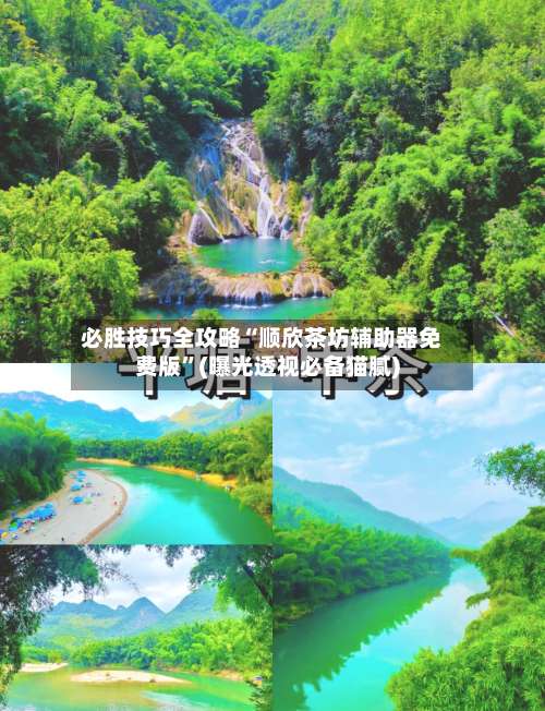 必胜技巧全攻略“顺欣茶坊辅助器免费版”(曝光透视必备猫腻)-第1张图片