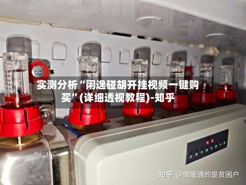 实测分析“闲逸碰胡开挂视频一键购买	”(详细透视教程)-知乎-第2张图片