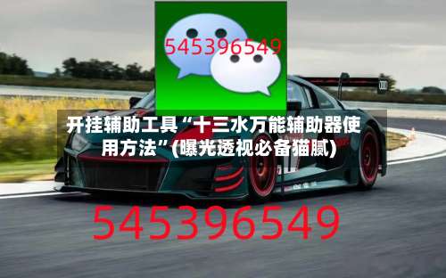 开挂辅助工具“十三水万能辅助器使用方法”(曝光透视必备猫腻)-第2张图片