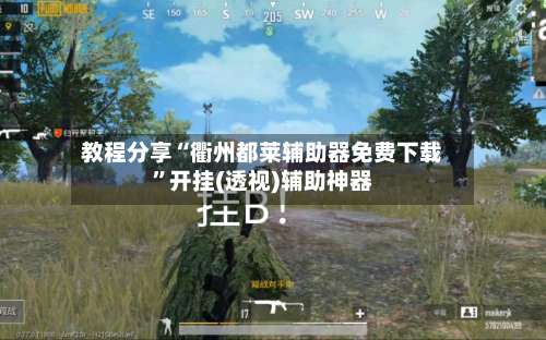 教程分享“衢州都莱辅助器免费下载	”开挂(透视)辅助神器-第1张图片