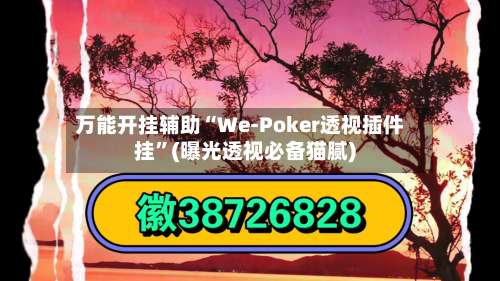 万能开挂辅助“We-Poker透视插件挂”(曝光透视必备猫腻)-第1张图片