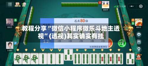 教程分享“微信小程序微乐斗地主透视”(透视)其实确实有挂-第2张图片