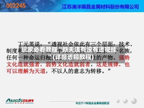 玩家必看教程“新天道有没有透视挂”(详细透视教程)-第1张图片