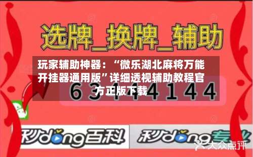 玩家辅助神器：“微乐湖北麻将万能开挂器通用版”详细透视辅助教程官方正版下载-第1张图片
