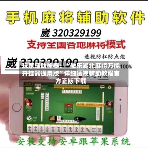 玩家辅助神器：“微乐湖北麻将万能开挂器通用版	”详细透视辅助教程官方正版下载-第2张图片