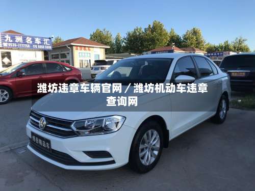 潍坊违章车辆官网／潍坊机动车违章查询网-第2张图片