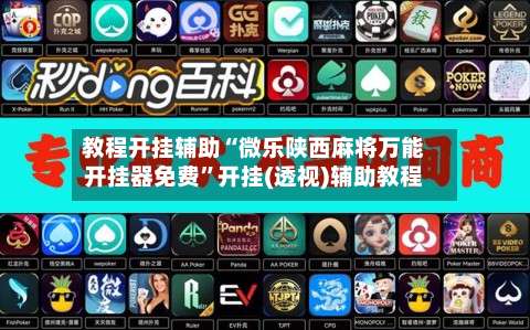 教程开挂辅助“微乐陕西麻将万能开挂器免费”开挂(透视)辅助教程-第1张图片