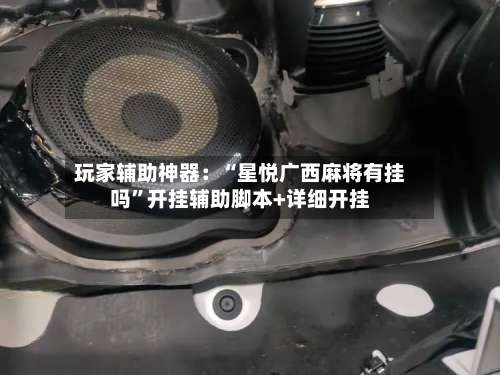 玩家辅助神器：“星悦广西麻将有挂吗	”开挂辅助脚本+详细开挂-第3张图片