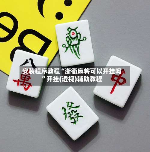 安装程序教程“浙衢麻将可以开挂吗	”开挂(透视)辅助教程-第2张图片