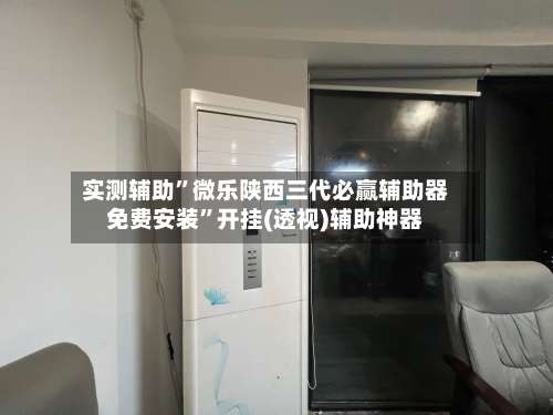 实测辅助”微乐陕西三代必赢辅助器免费安装”开挂(透视)辅助神器-第2张图片