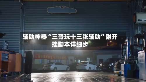 辅助神器“三哥玩十三张辅助”附开挂脚本详细步-第2张图片