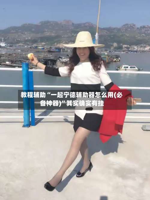 教程辅助“一起宁德辅助器怎么用(必备神器)”其实确实有挂-第2张图片