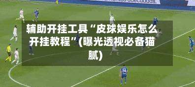 辅助开挂工具“皮球娱乐怎么开挂教程”(曝光透视必备猫腻)-第1张图片