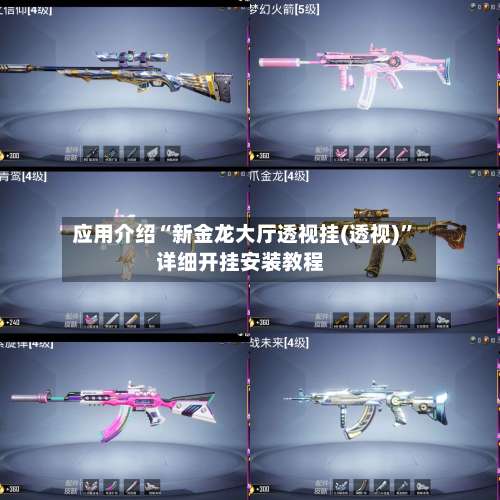 应用介绍“新金龙大厅透视挂(透视)	”详细开挂安装教程-第1张图片