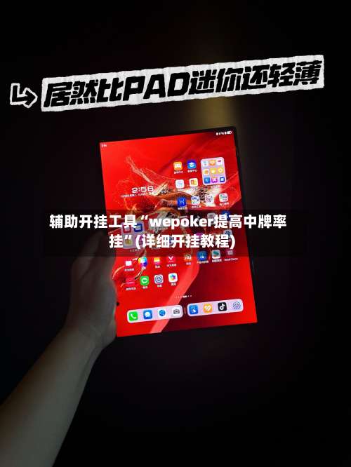 辅助开挂工具“wepoker提高中牌率挂	”(详细开挂教程)-第3张图片