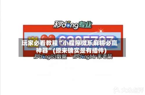 玩家必看教程“小程序微乐麻将必赢神器”(原来确实是有插件)-第1张图片