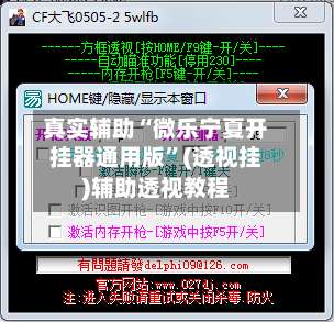 真实辅助“微乐宁夏开挂器通用版”(透视挂)辅助透视教程-第2张图片
