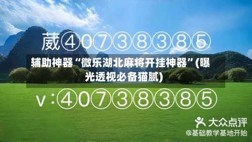 辅助神器“微乐湖北麻将开挂神器”(曝光透视必备猫腻)-第2张图片