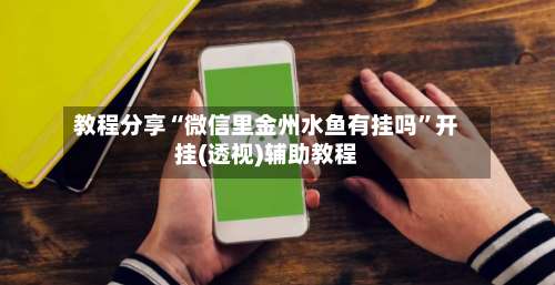 教程分享“微信里金州水鱼有挂吗”开挂(透视)辅助教程-第2张图片