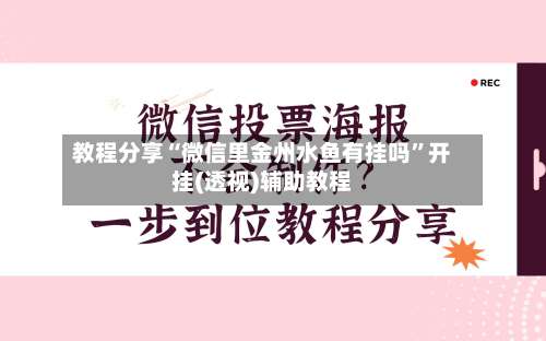 教程分享“微信里金州水鱼有挂吗”开挂(透视)辅助教程-第3张图片