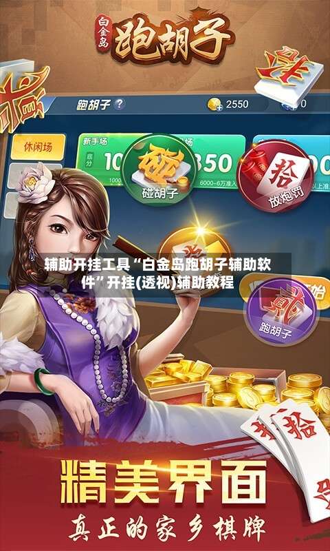 辅助开挂工具“白金岛跑胡子辅助软件	”开挂(透视)辅助教程-第2张图片