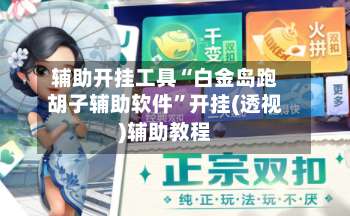 辅助开挂工具“白金岛跑胡子辅助软件”开挂(透视)辅助教程-第1张图片