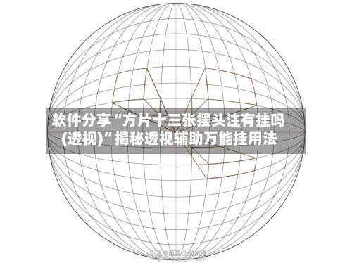 软件分享“方片十三张摆头注有挂吗(透视)”揭秘透视辅助万能挂用法-第1张图片