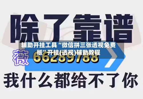 辅助开挂工具“微信拼三张透视免费版”开挂(透视)辅助教程-第2张图片