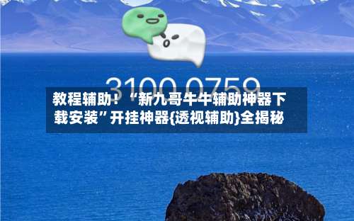 教程辅助！“新九哥牛牛辅助神器下载安装”开挂神器{透视辅助}全揭秘-第3张图片