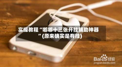 实操教程“嘟嘟十三张开挂辅助神器	”(原来确实是有挂)-第2张图片