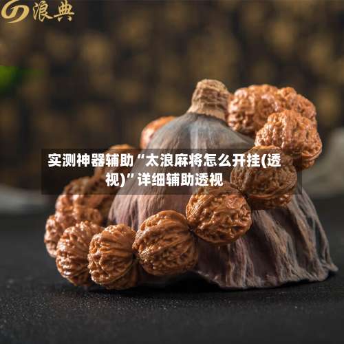 实测神器辅助“太浪麻将怎么开挂(透视)	”详细辅助透视-第1张图片