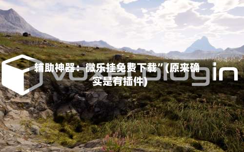 辅助神器：微乐挂免费下载”(原来确实是有插件)-第1张图片