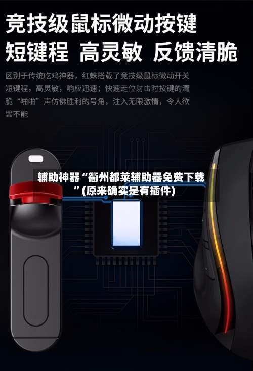 辅助神器“衢州都莱辅助器免费下载”(原来确实是有插件)-第2张图片