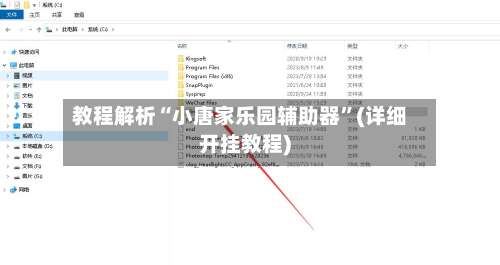 教程解析“小唐家乐园辅助器”(详细开挂教程)-第2张图片
