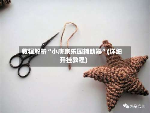 教程解析“小唐家乐园辅助器”(详细开挂教程)-第1张图片