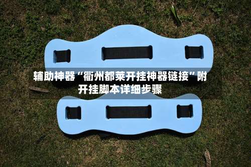 辅助神器“衢州都莱开挂神器链接”附开挂脚本详细步骤-第1张图片
